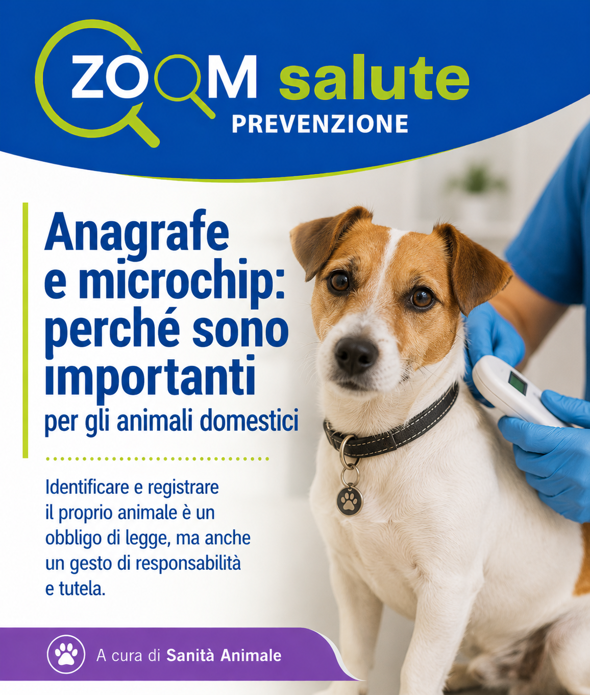 Locandina Anagrafe e microchip, perché sono importanti