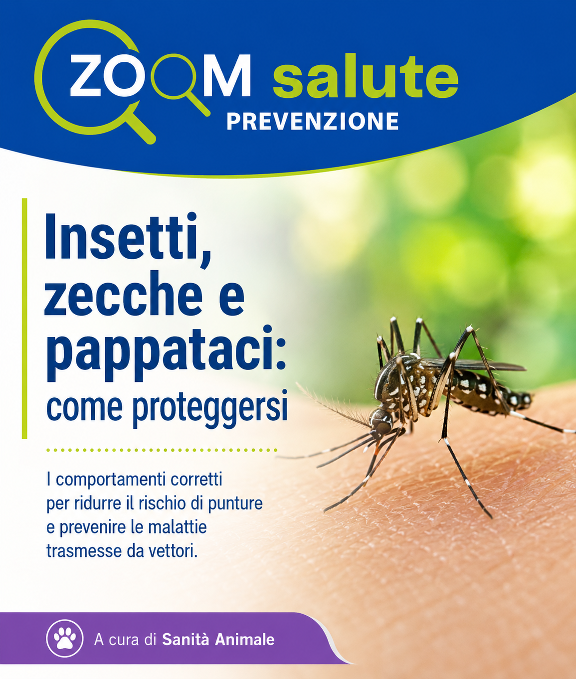 Locandina Insetti, zecche e pappataci: come proteggersi